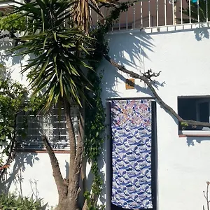 Estudio Boho-chic Nuevo Bien Ubicado Apartamento Cadaqués